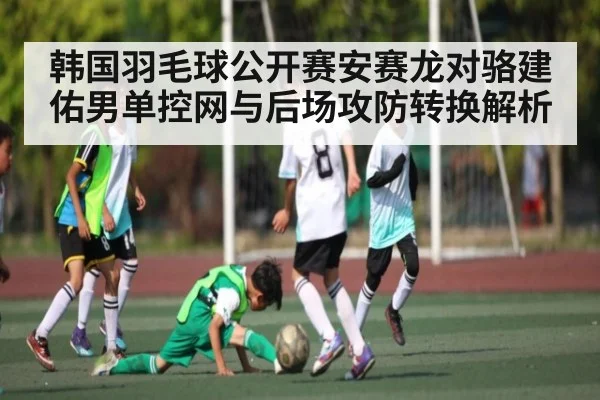 韩国羽毛球公开赛安赛龙对骆建佑男单控网与后场攻防转换解析